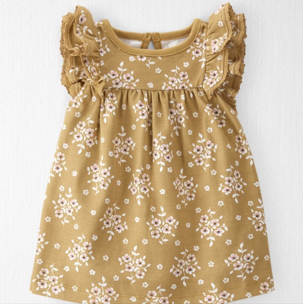 24M Carter's Little Planet Organic Cotton Dress